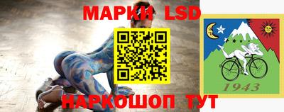 стафф Можга