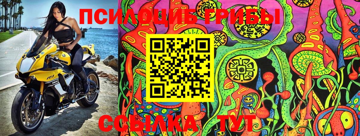 Галлюциногенные грибы Psilocybe  Вход с VPN  Орехово-Зуево 